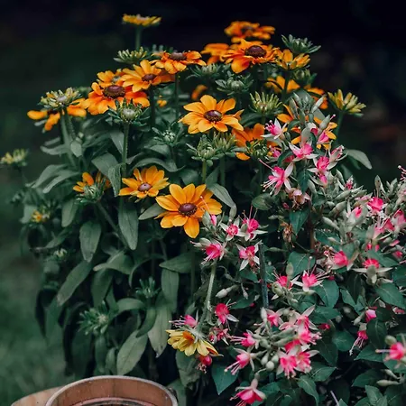 Pepper & Paper 4* Paris