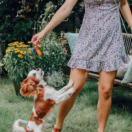 Lägenhetshotell Pepper & Paper 4*