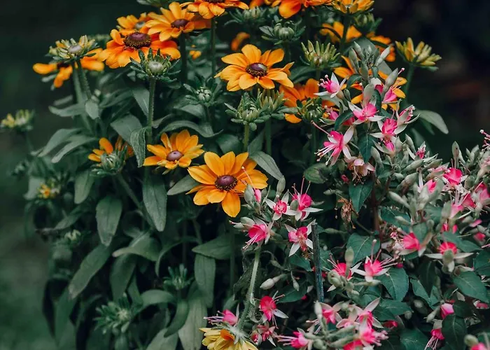 Pepper & Paper 4* Parijs